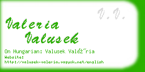 valeria valusek business card